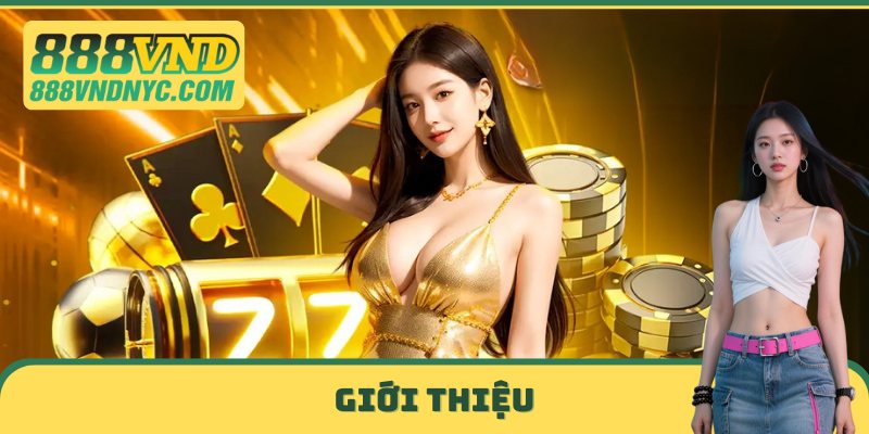 Giới thiệu 888VND NYC